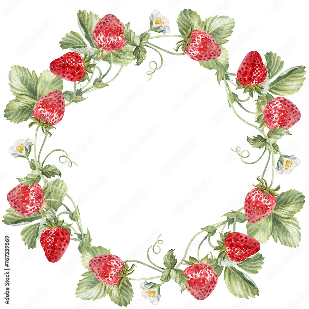 Strawberry wreath watercolor hand painted illustration isolated on transparent background Strawberry wreath watercolor hand painted illustration isolated on transparent background