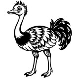 ostrich cartoon page