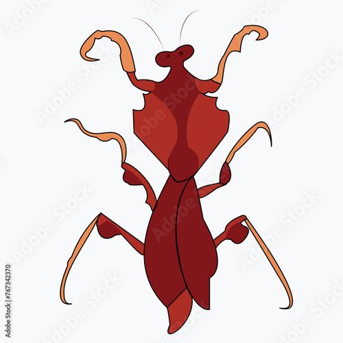 Mantis. Editable hand drawn illustration. Vector vintage engraving. Isolated on white background. 8 eps