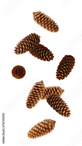 Falling Pine cone isolated on white background, full depth of field