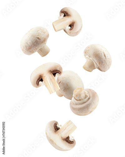Falling champignon, mushroom, isolated on white background, full depth of field © grey