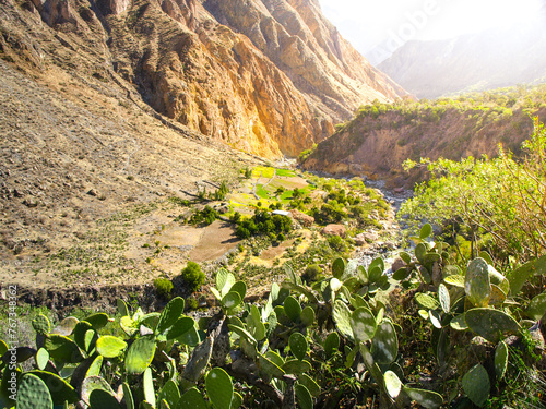 Sangalle Oasis in Colca Canyon, Peru photo