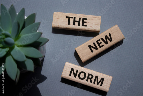 The new norm symbol. Concept words The new norm on wooden blocks. Beautiful grey background with succulent plant. Business and The new norm concept. Copy space.