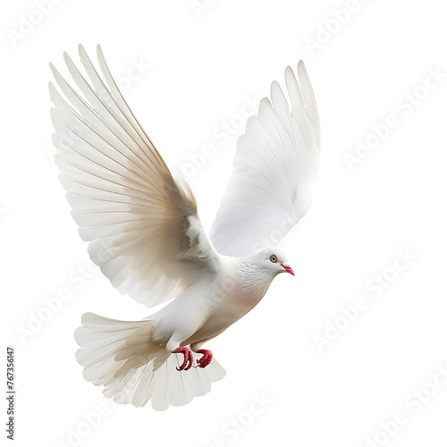 White dove symbol of peace flying on transparent background PNG © I LOVE PNG