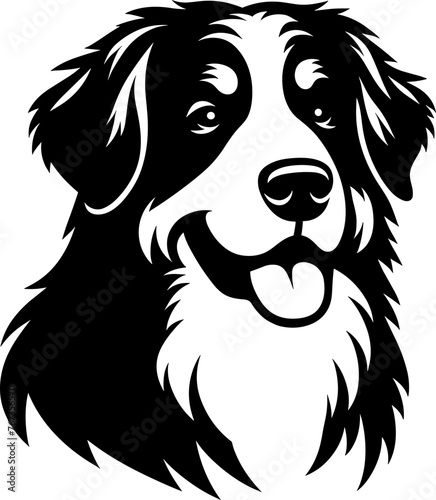 Bernese Mountain Dog