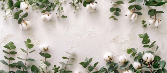 Arrangement of flowers with a border formed by new eucalyptus branches and cotton blooms. Overhead view with space for text.
