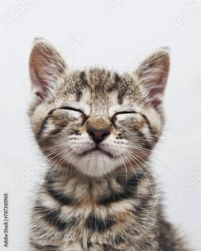 A tabby kitten feeling comfortable and smiling on white background