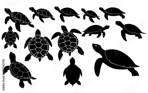 Set of a turtle silhouette vector