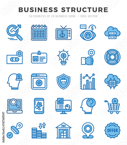 Vector icons set of Business Structure. Two Color style Icons.