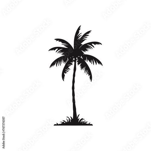 silhouette of palm tree  © Md RAHAT