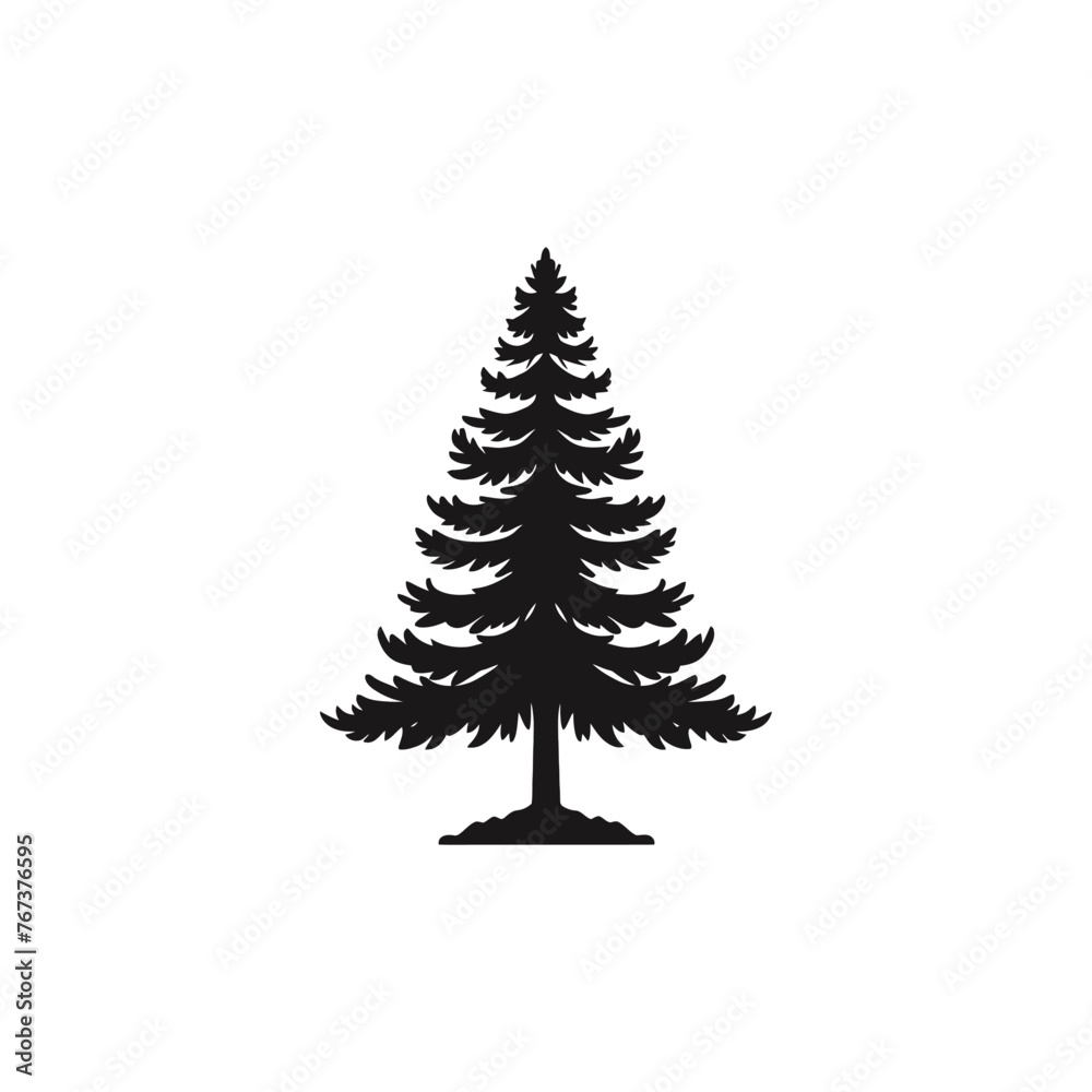 Fototapeta premium silhouette of pine tree 
