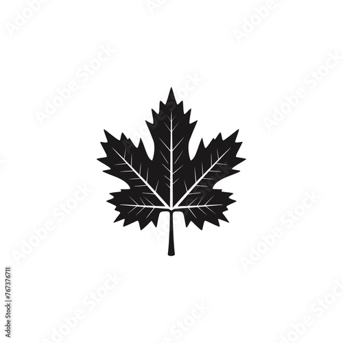 silhouette of maple leaf

