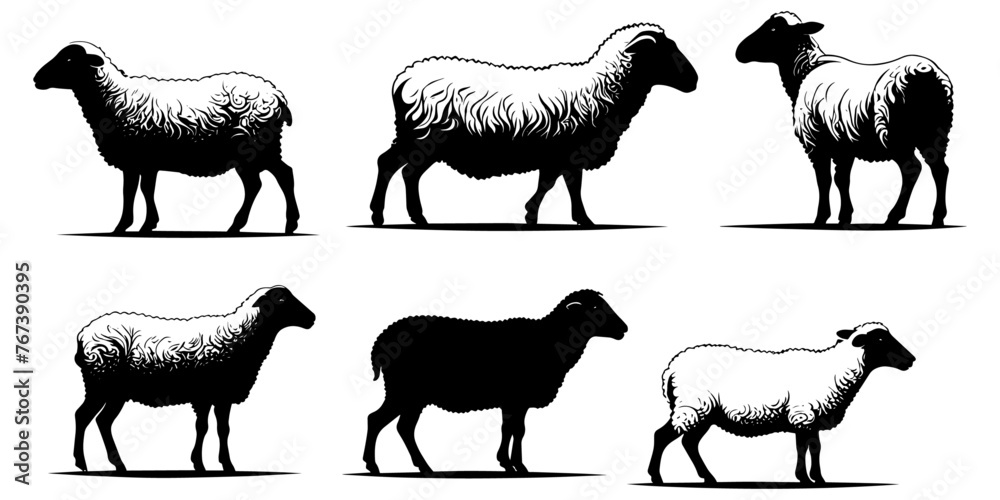 Set of a Sheep silhouette vector Set of a Sheep silhouette vector