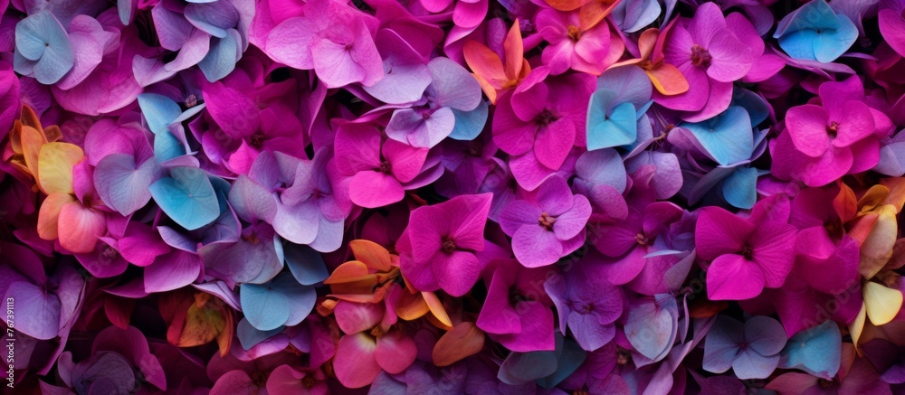A close up of a vibrant assortment of flowers showcasing shades of purple, pink, magenta, and electric blue. The groundcover is made up of annual plants with delicate petals A close up of a vibrant assortment of flowers showcasing shades of purple, pink, magenta, and electric blue. The groundcover is made up of annual plants with delicate petals