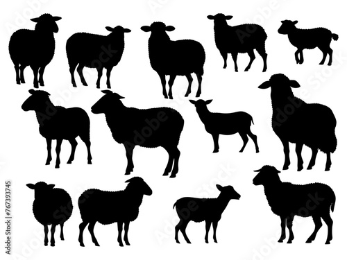 Set of a Sheep  silhouette vector
