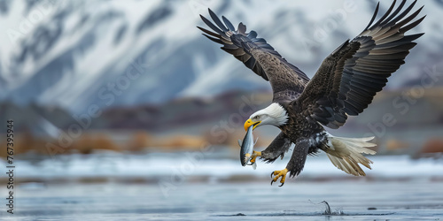 Majestic Bald Eagle Captures Fish in Flight Above Water Banner