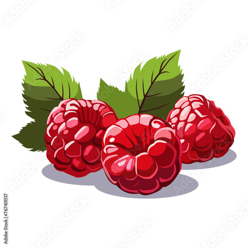 Handful of red raspberries on white background. Isolated vector summer berries in flat style