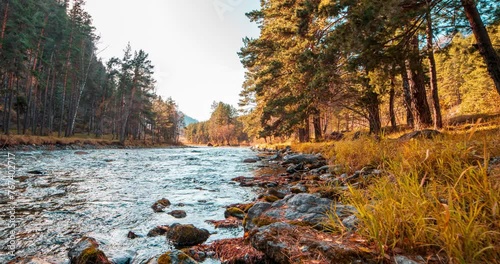 4K mountain river timelapse at the summer or autumn time. Wild nature, clear water and rural evergreen valley. Sun rays, small creek and yellow grass. Motorised dolly slider movement