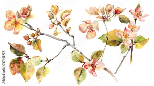 Watercolor illustrations of spring leaves, branches and flowers. Set. Generative Ai