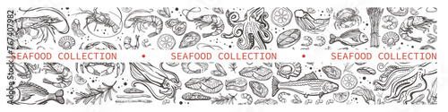 Big isolated vector collection of seafood. Shrimps, langoustines, prawns, salmon, trout, oysters, mussels, squid, crab, lemon, asparagus, dorado. Hand-drawn seafood, restaurant and marine cafe menu. © HS