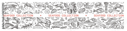 Big isolated vector collection of seafood. Shrimps, langoustines, prawns, salmon, trout, oysters, mussels, squid, crab, lemon, asparagus, dorado. Hand-drawn seafood, restaurant and marine cafe menu.