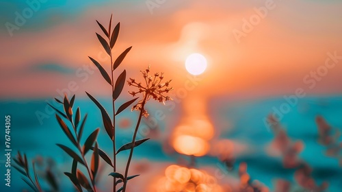 Close-up of plant against sea during sunset 