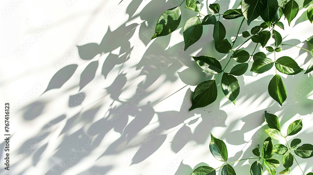 Generative AI : Leaves natural shadow overlay on white texture background