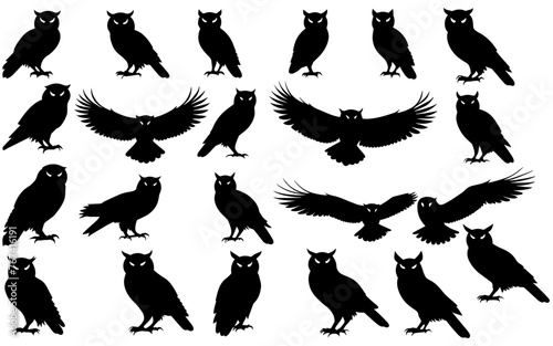 Set of a owl  silhouette vector