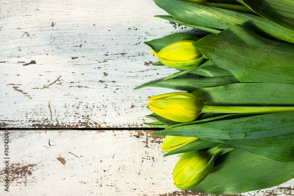 Unopened yellow tulips lying on a table made of white, aged wooden boards. Photo taken in natural, soft lighting