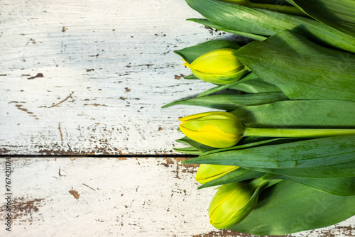 Obraz na płótnie Unopened yellow tulips lying on a table made of white, aged wooden boards. Photo taken in natural, soft lighting w salonie