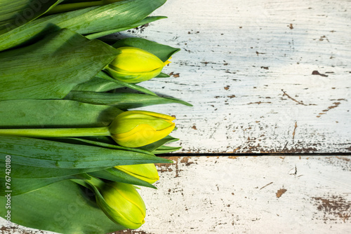 Obraz na płótnie Unopened yellow tulips lying on a table made of white, aged wooden boards. Photo taken in natural, soft lighting w salonie