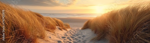Sunset at the Beach: Relaxing Day on the Dunes Near the Shimmering Sea