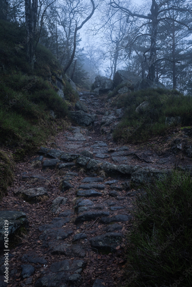 Gloomy and totally moody view in the foggy rocks with the best dark and mystic atmosphere in the north of Bohemia. Gloomy and totally moody view in the foggy rocks with the best dark and mystic atmosphere in the north of Bohemia.