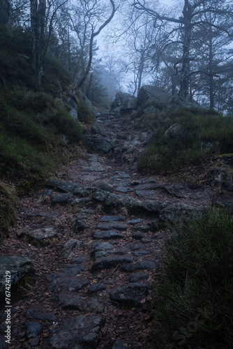 Gloomy and totally moody view in the foggy rocks with the best dark and mystic atmosphere in the north of Bohemia.