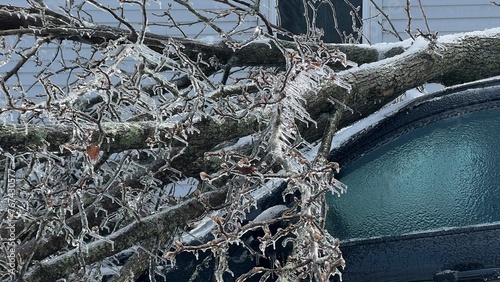 Ice Covered Vehicle Damaged By Fallen Tree Branch