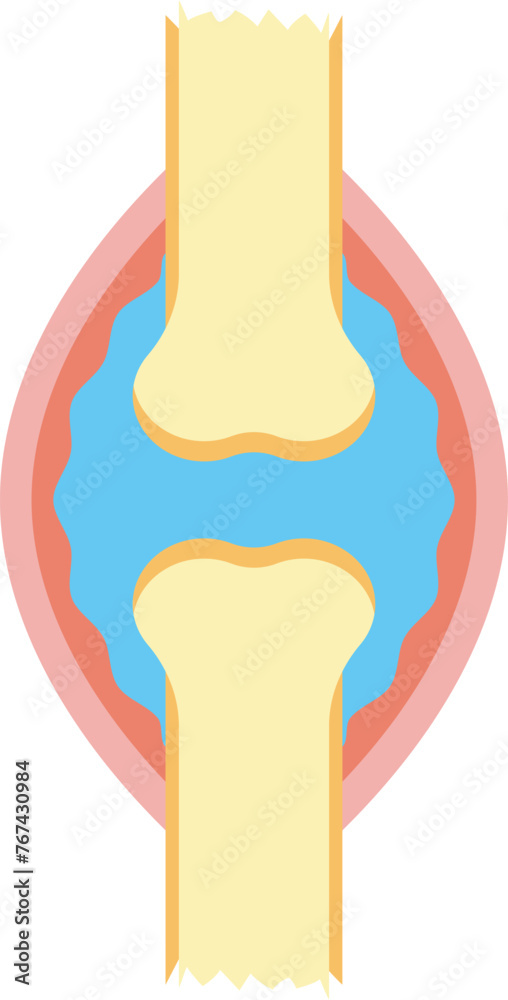 Human Knee Structure. Simple Diagram Illustration Human Knee Structure. Simple Diagram Illustration
