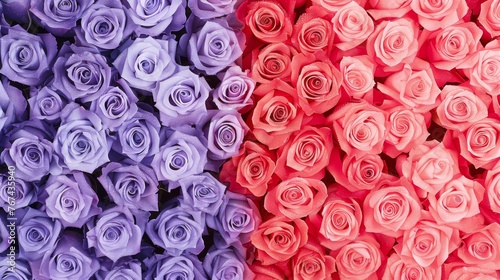  a close up of a bunch of flowers in different colors of pink  purple  red and purple with a background of pink and purple roses.