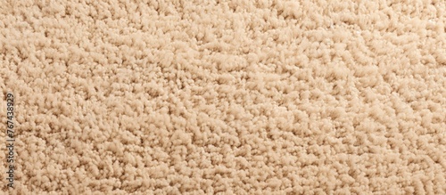 Wallpaper Mural A detailed view of a beige carpet covered with numerous tiny white fibers Torontodigital.ca