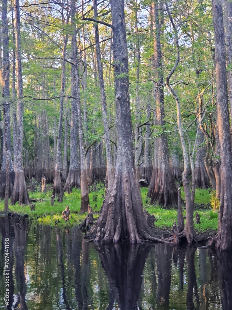 Obraz premium waterlines