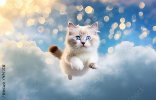 Pequeño gato mimoso de ojos azules saltando sobre las nubes con un cielo azul y luces desenfocadas detrás. Dibujo hiperrealista con bokeh photo