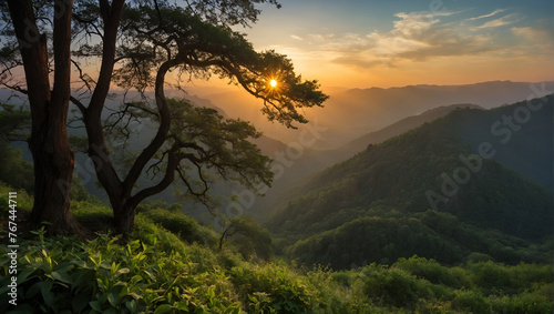 Stunning Nature Photography: Capturing the Beauty of Sunrise, Sunset, Mountains, Spring, and Summer in one place