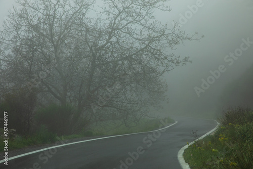 Dangerous mountain road during severe weather conditions with fog and rain in spring. 