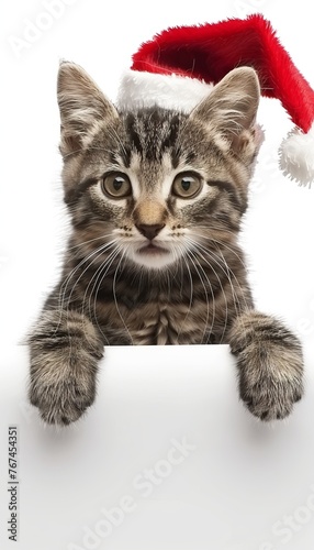 Cute kitten in christmas hat peeking playfully from behind a blank banner for festive surprise