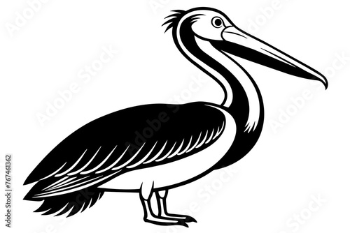 pelican silhouette vector illustration