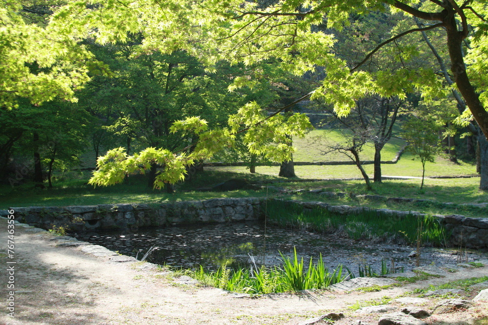 Obraz premium 사찰