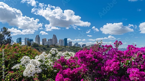 San Diego City skyline view, beautiful flowers in foreground and San Diego city buildings on the background, on a sunny day, cloudy blue sky, panoramic view.