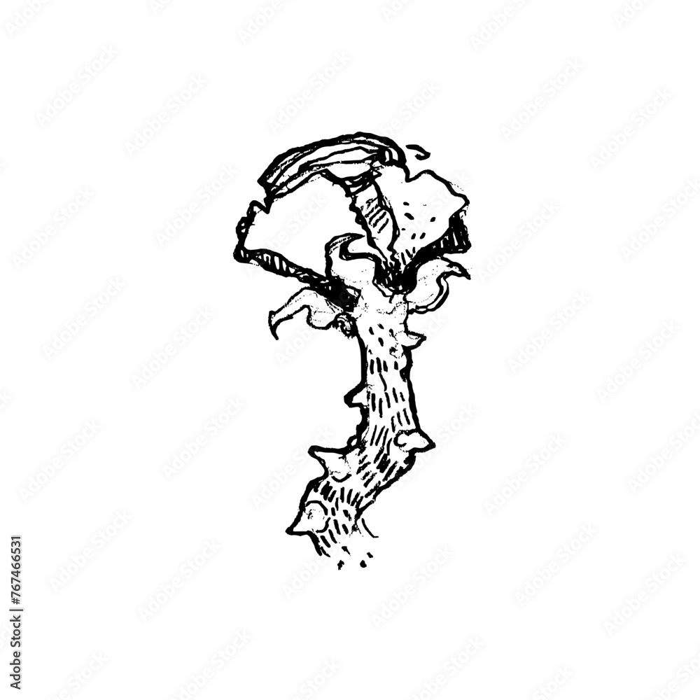 Fototapeta premium Flower isolated from background. Hand drawn illustration.