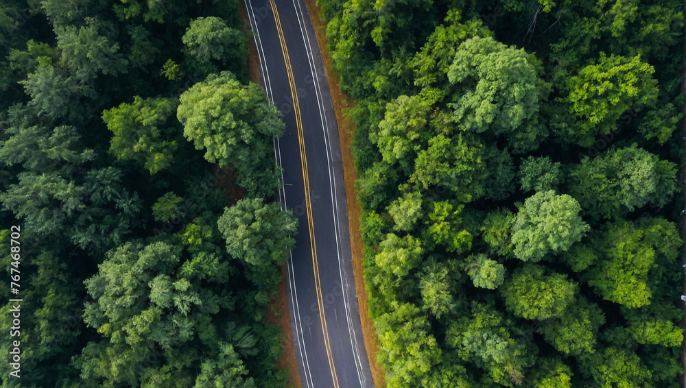 Aerial of curved road through green forest 