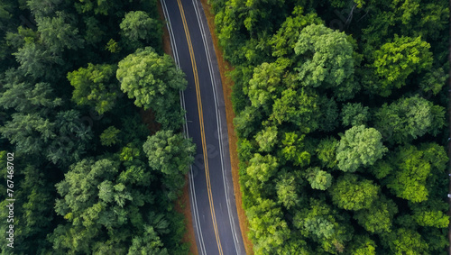 Aerial of curved road through green forest  © rouda100