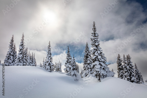Snowy mountain landscape, pine trees in deep snow © peteleclerc